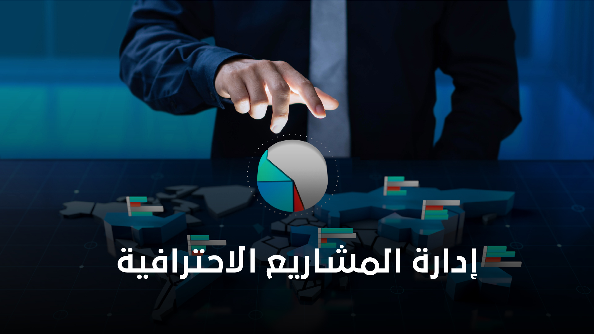 Professional Project Management