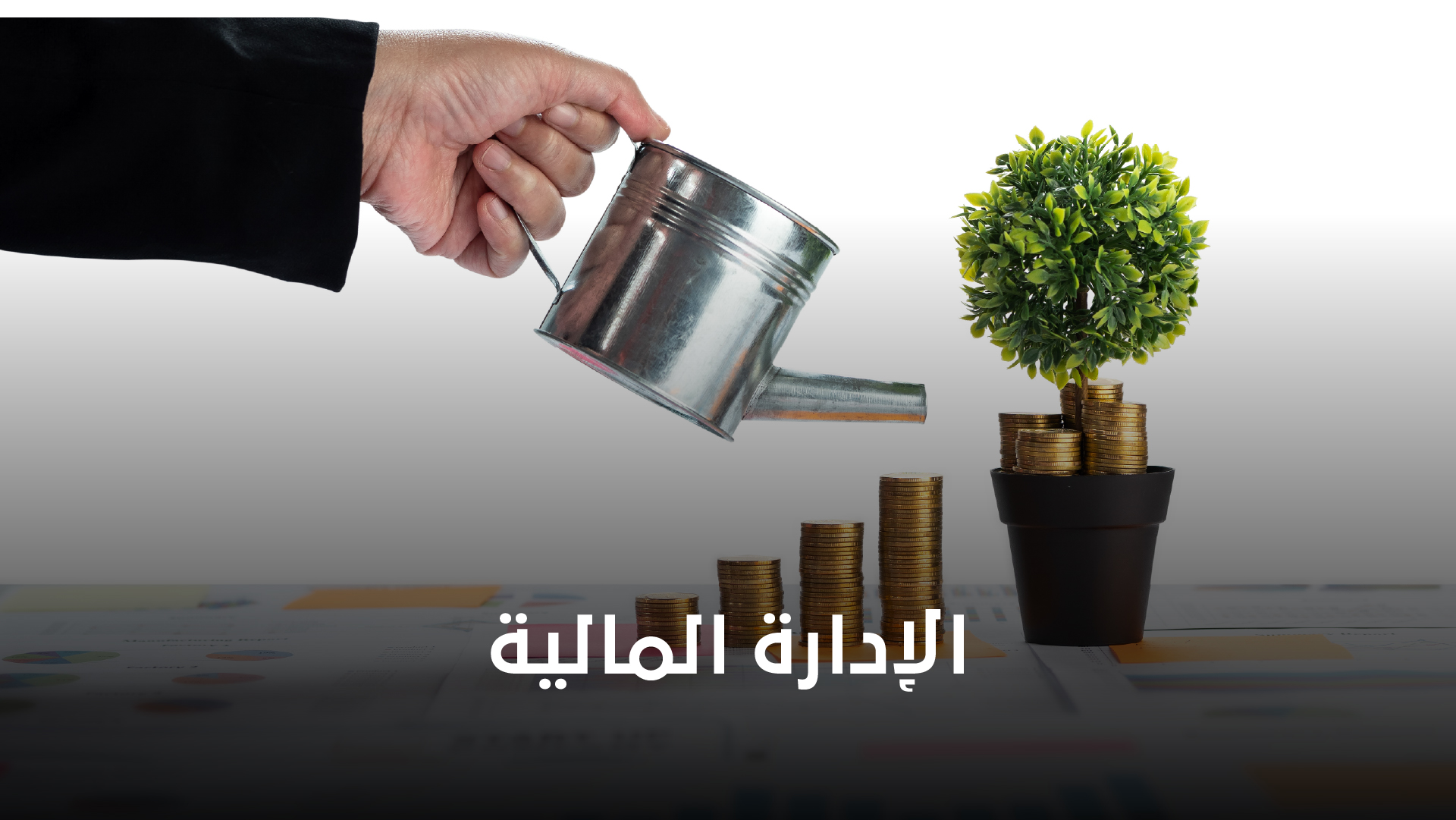 الإدارة المالية